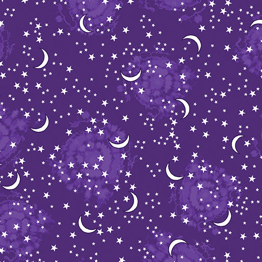 Happy Hauntings - Benartex - Starry Sky Purple - 14947G-66