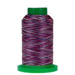 9918 Ol' Glory Isacord Variegated Embroidery Thread 1000m