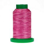 9923 Raspberries & Cream Isacord Variegated Embroidery Thread 1000m