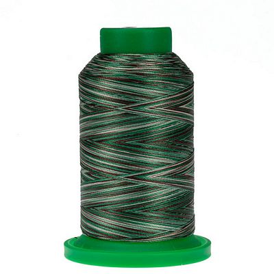 9982 Pine Forest Isacord Variegated Embroidery Thread 1000m