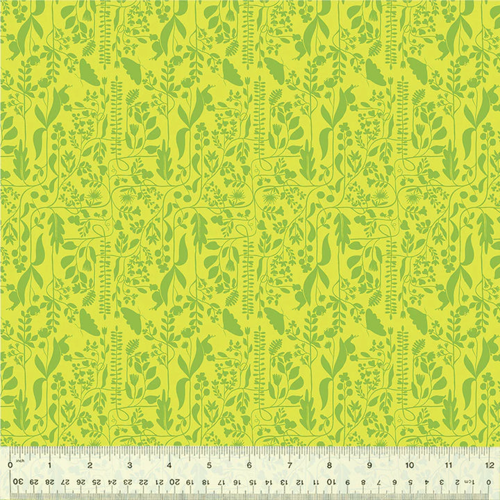 Insectarium - Meander - Grass - 54657-15