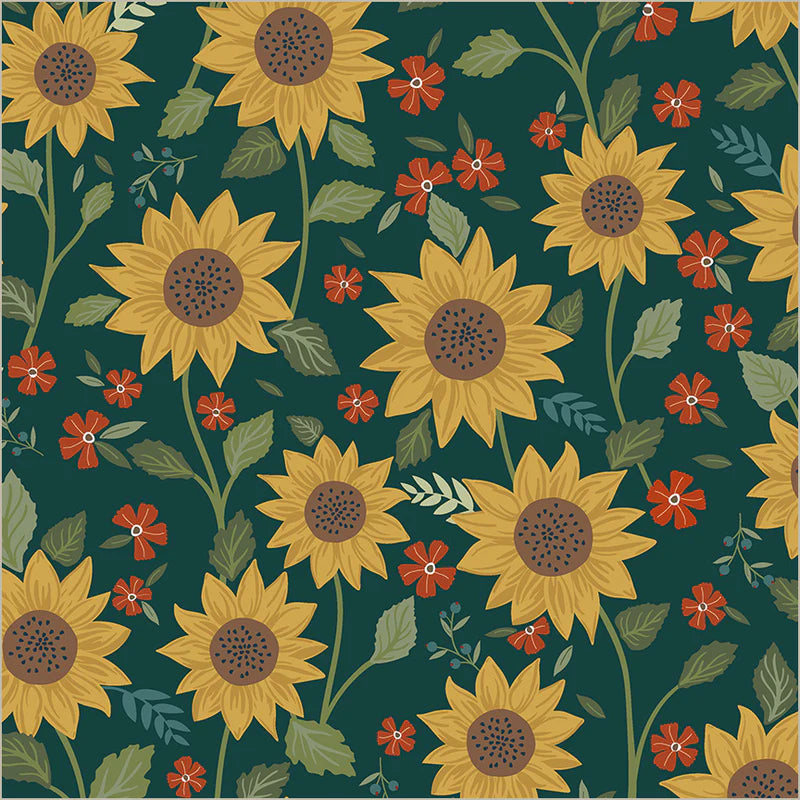 Honeycrisp - Sunshine - Forest - 55191-3