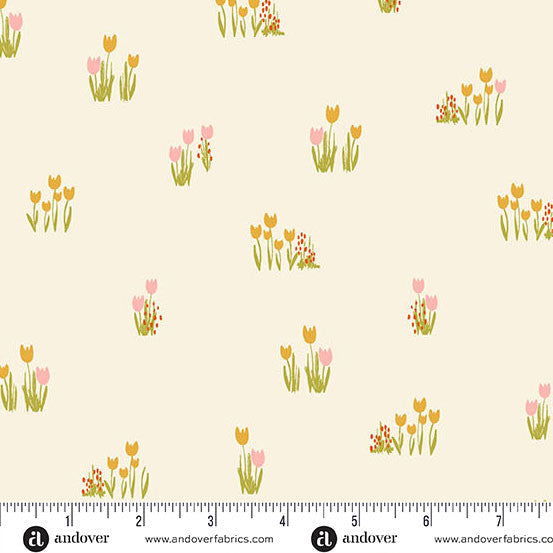 Celestial Garden - Tulip Bulbs - Cream - A-10027-L