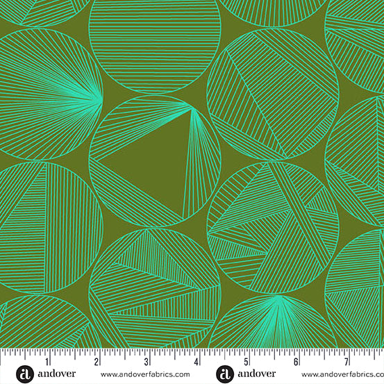 40 - Petri - Turtle Power - A-1398-V