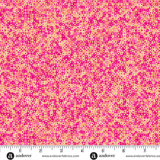 Molly's Magic - Fairy Rings - Gerbera - A-1505-E