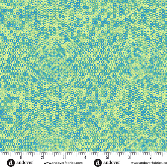 Molly's Magic - Fairy Rings - Cymbidium - A-1505-G