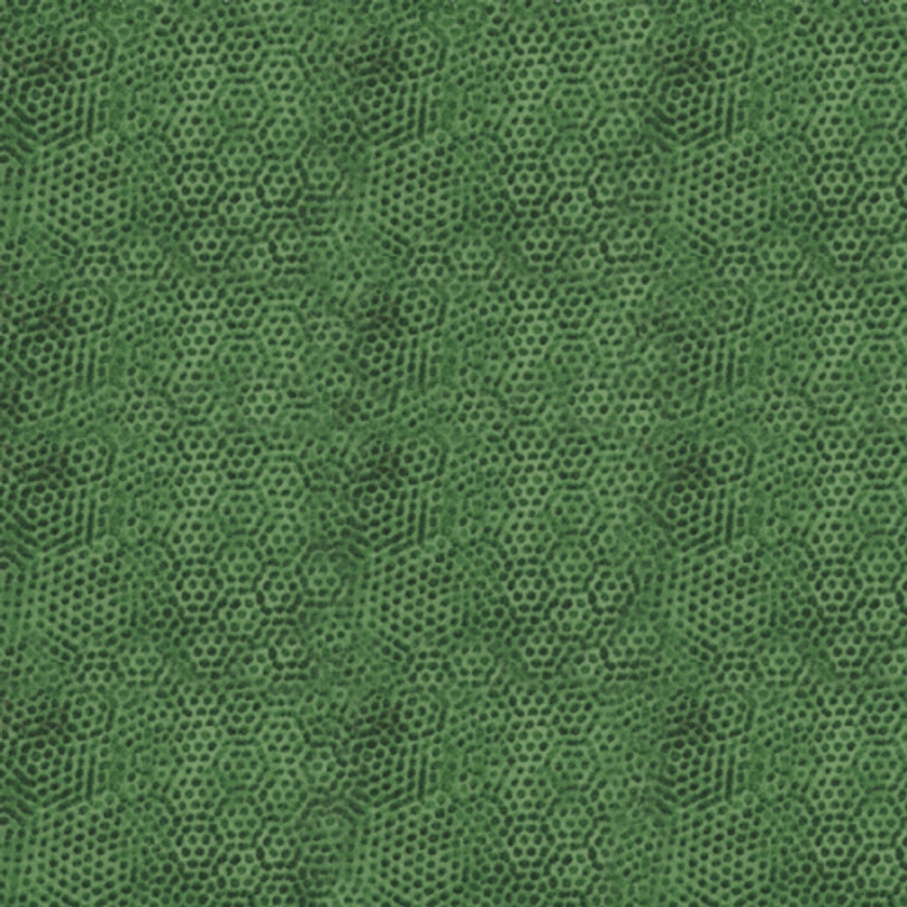 Dimples - Fern - P0260-1867-G10