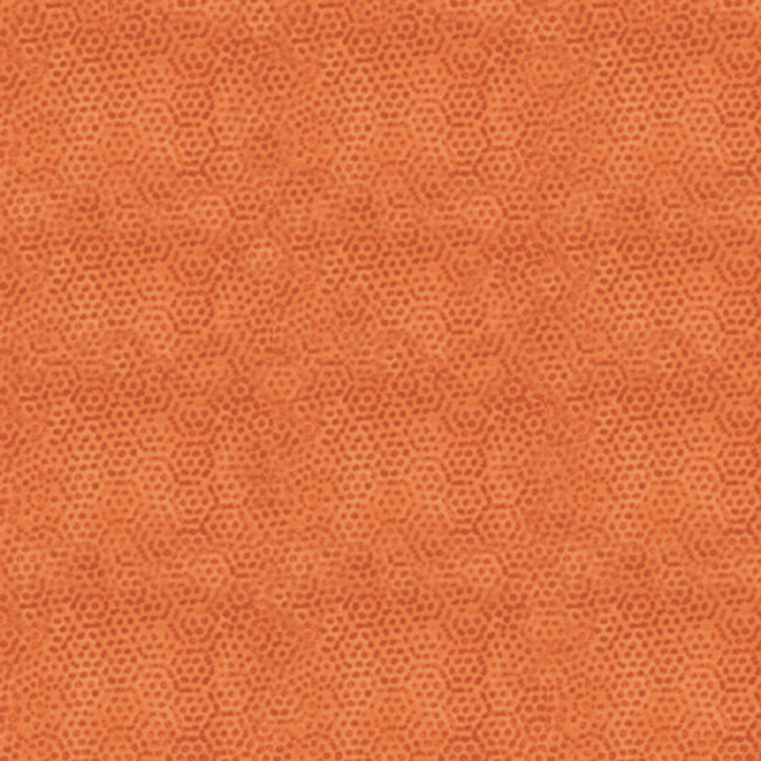 Dimples - Carrot - P0260-1867-O1