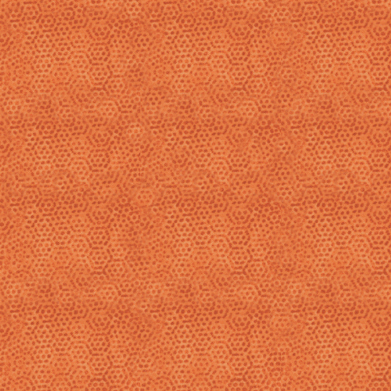 Dimples - Carrot - P0260-1867-O1