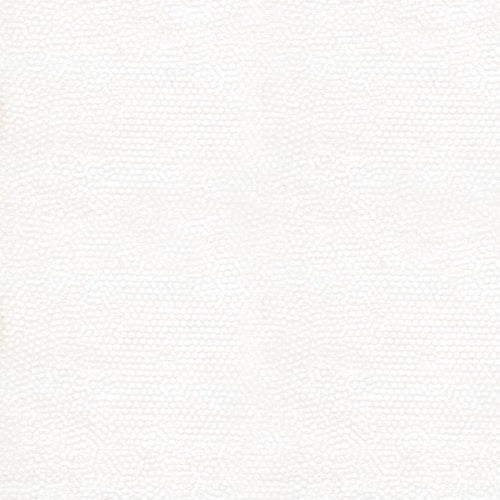 Dimples - Snow - P0260-1867-WW