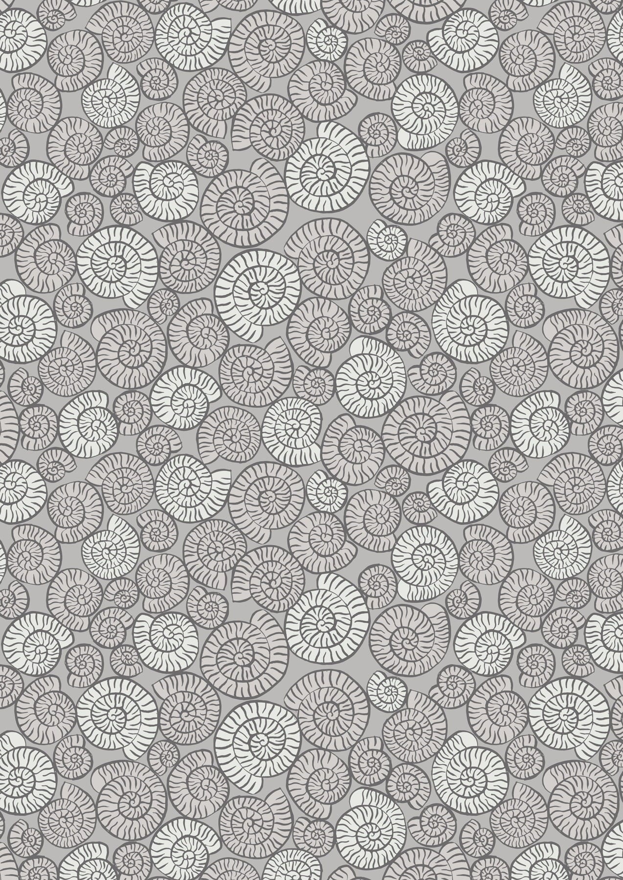 Dino Glow - Ammonites - Grey (Glow in the Dark) - A673.1