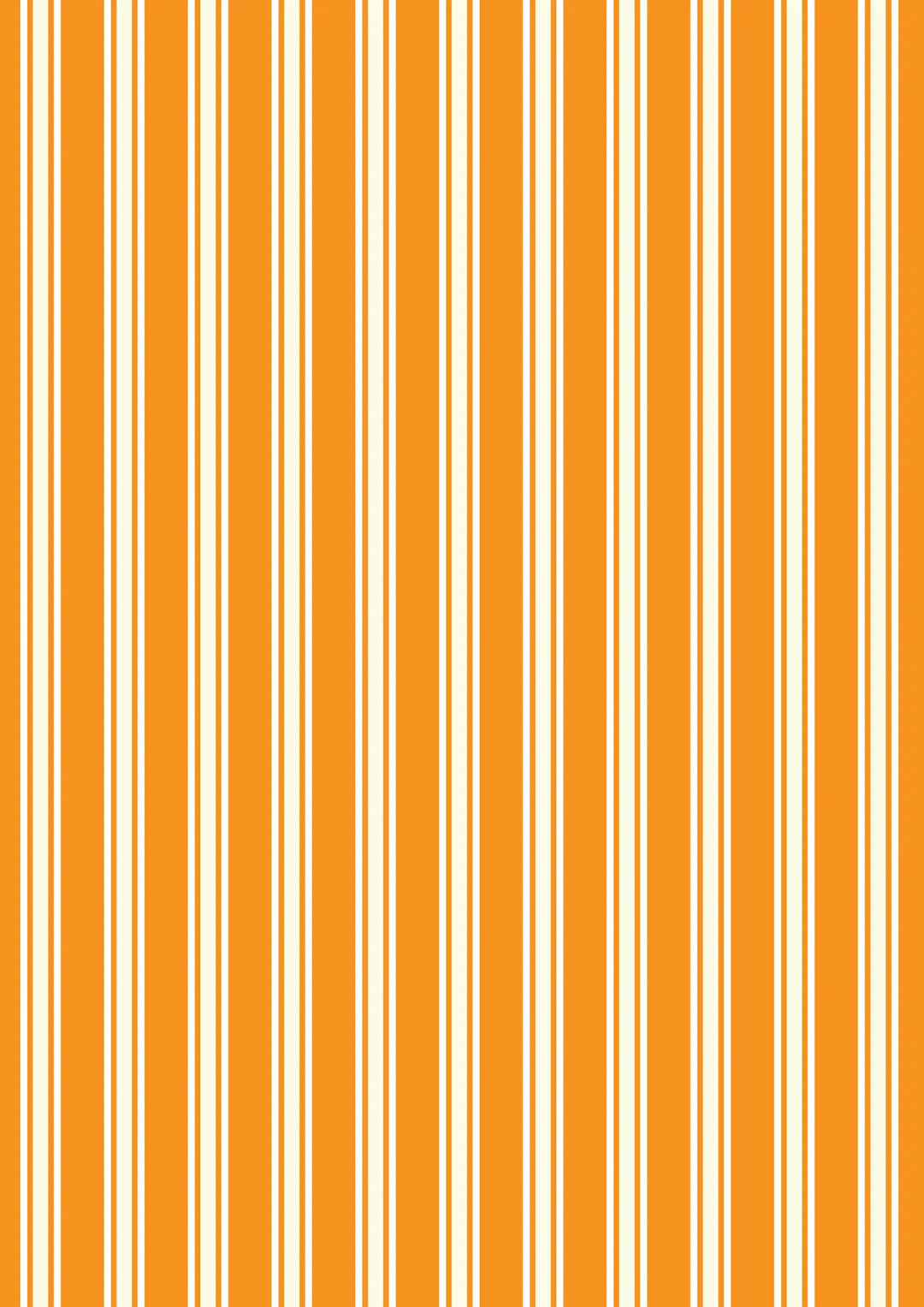 Witchy Woods - Terrifying Ticking Stripe on Halloween Orange - A883A