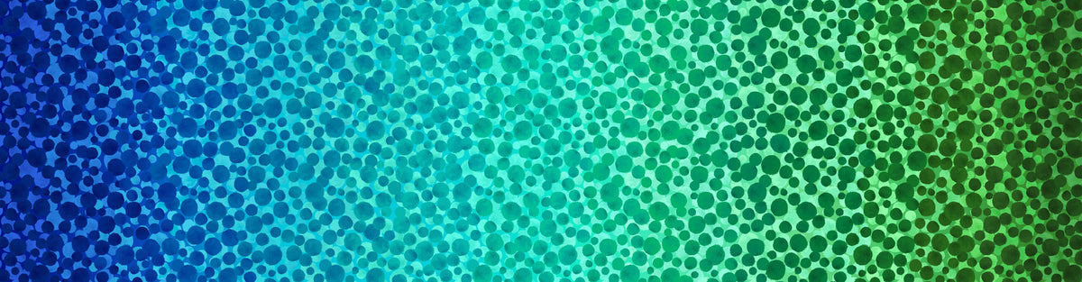 Omnificent Ombres - Bumbleberries - Ocean Ombre - BBOM3