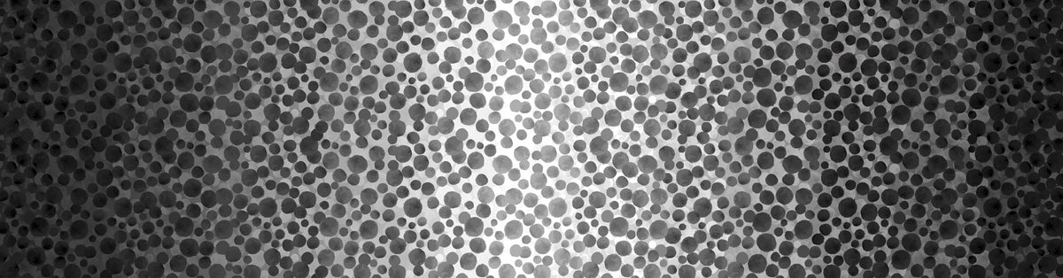 Omnificent Ombres - Bumbleberries - Black to White Ombre - BBOM6