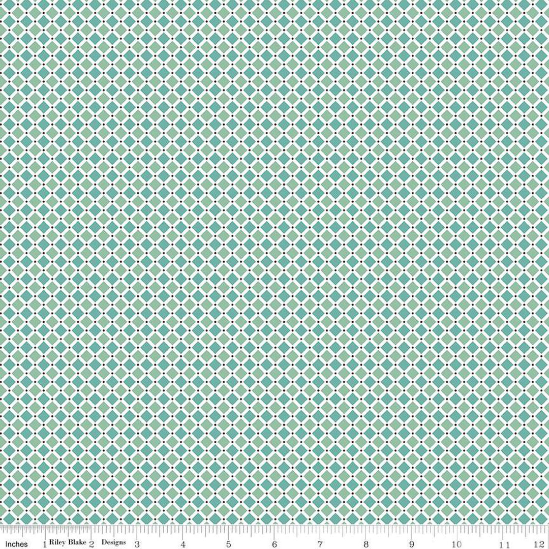 Lori Holt - Bee Plaids - Pie - C12034-Vivid