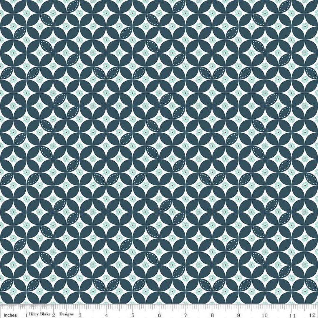 Berry Market - Beverly McCullough - Daisies Stargazer - C15742-STARGAZER