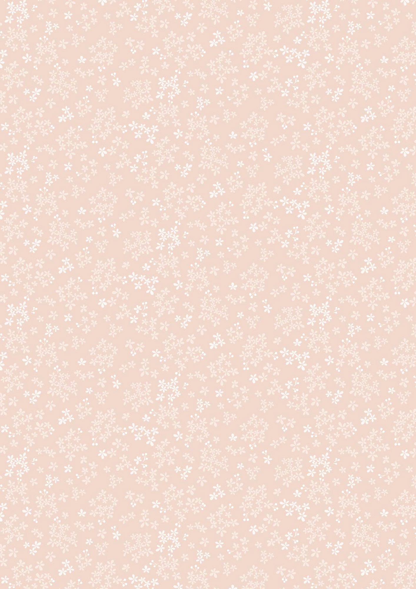 Sky Garden - Wintersweet - Pale Peach - CC60.1