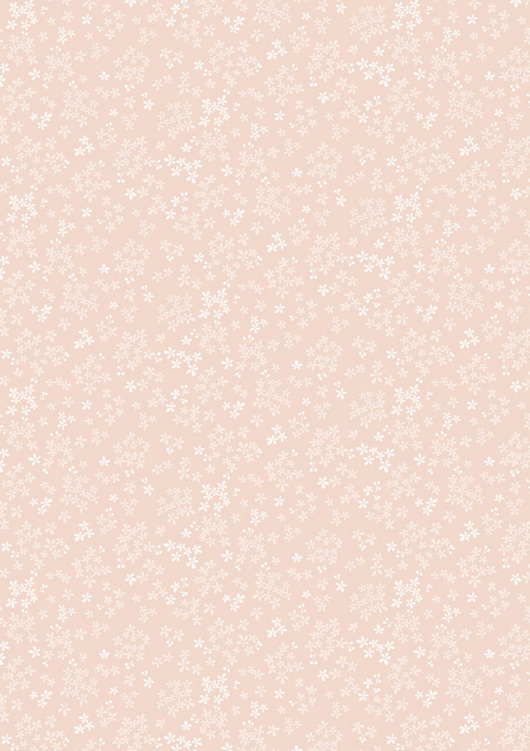 Sky Garden - Wintersweet - Pale Peach - CC60.1