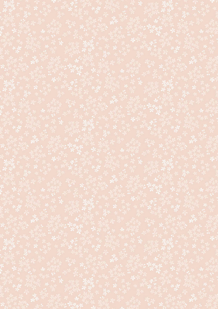 Sky Garden - Wintersweet - Pale Peach - CC60.1