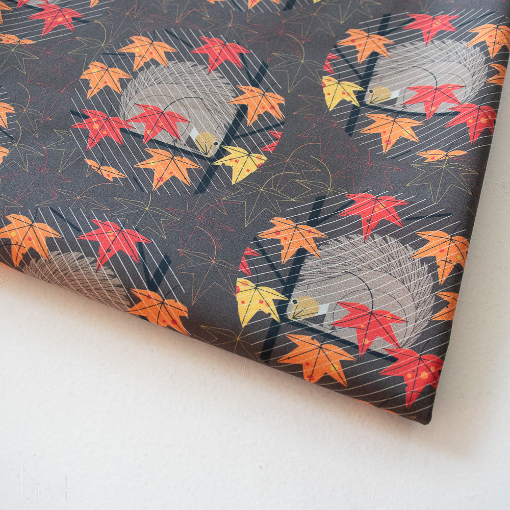 Squirrel in a Squall - Charley Harper - Harvest Vol. 3