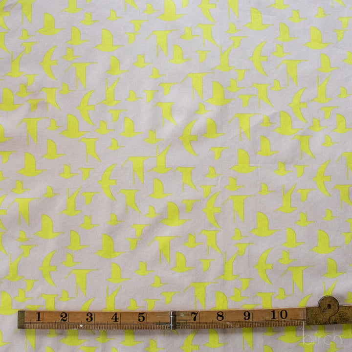 Coastal Vol. 2 - Maritime Birds Lemoncello Poplin - Charley Harper