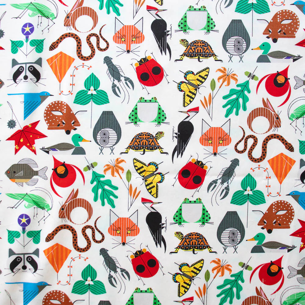 Iconic Vol. 2 - Small Space For All Species Poplin - CH-410-BOLT