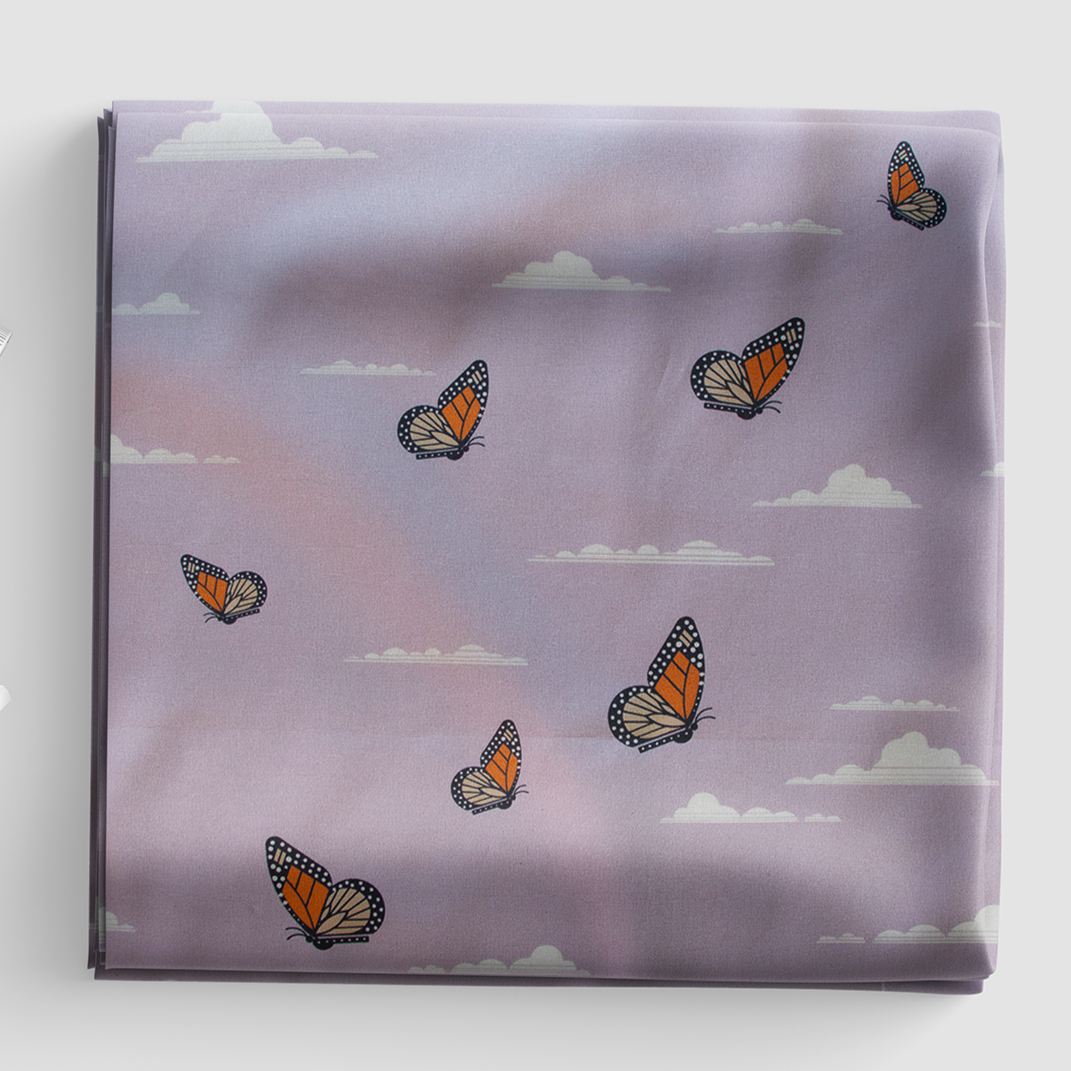 Canyon Country - Canyon Butterflies - Charley Harper