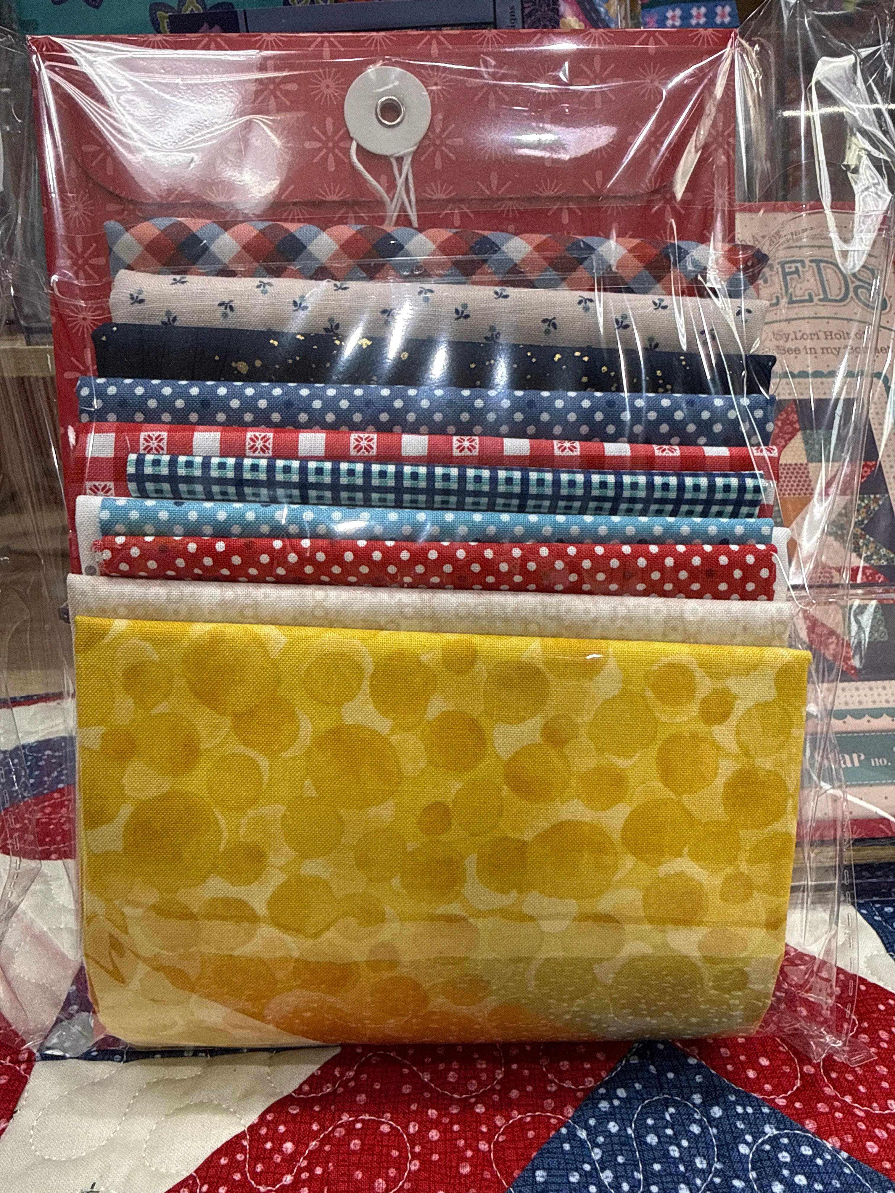 Americana Quilt Seed #4 Kit