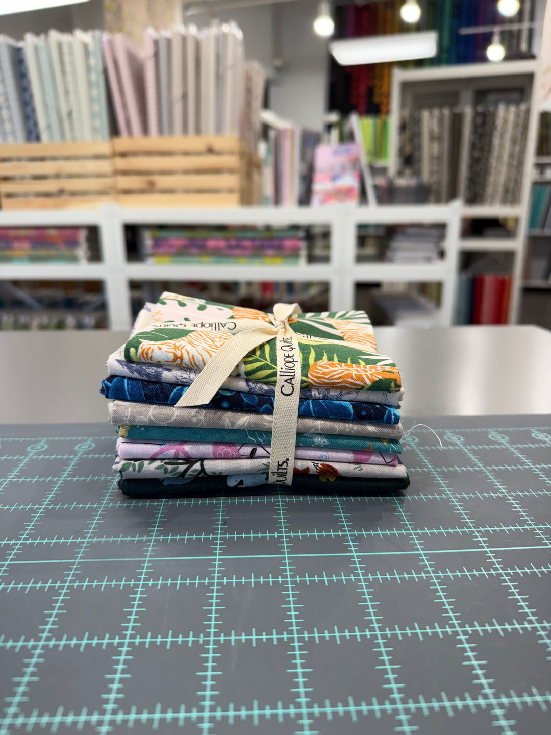 Awesome Animals - Curated 8pc FQB