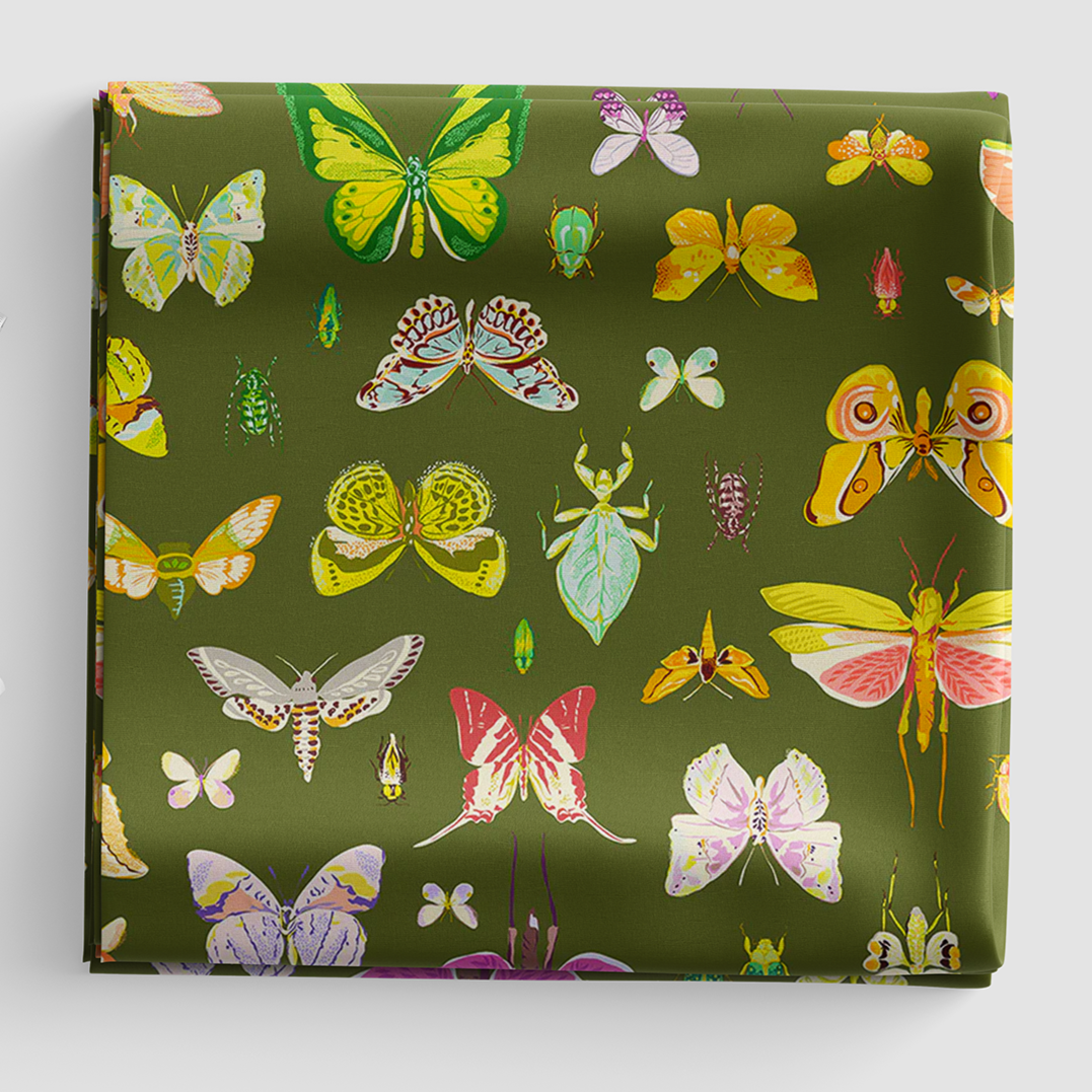 Insectarium - On Display - Olive - 54652-3