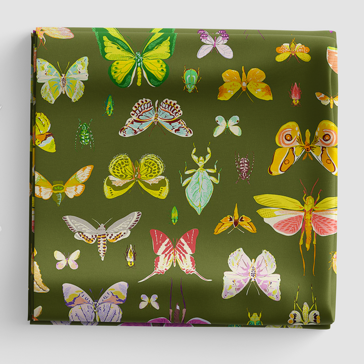 Insectarium - On Display - Olive - 54652-3