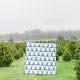 Evergreen Quilt Pattern - Kiley's Quilt Room