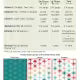 Summer Sun Quilt Pattern - Kiley's Quilt Room