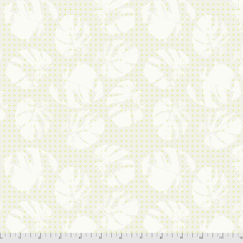 Complements - Haze - Wind - PWSK019.WIND