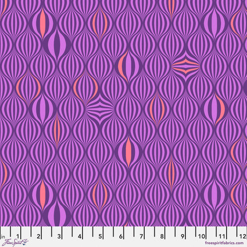 Light the Way - Nova || Untamed