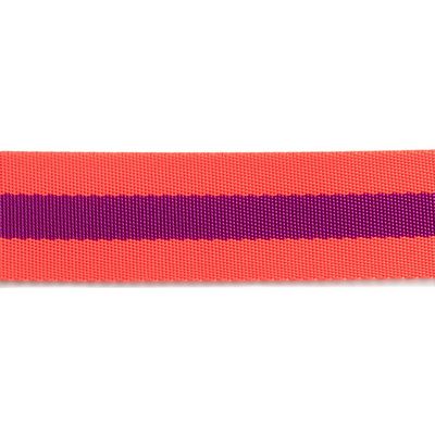 Watermelon and Plum 1.5 in-Tula Pink Webbing
