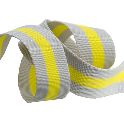 Soft Grey and Neon 1.5 in Tula Pink Webbing