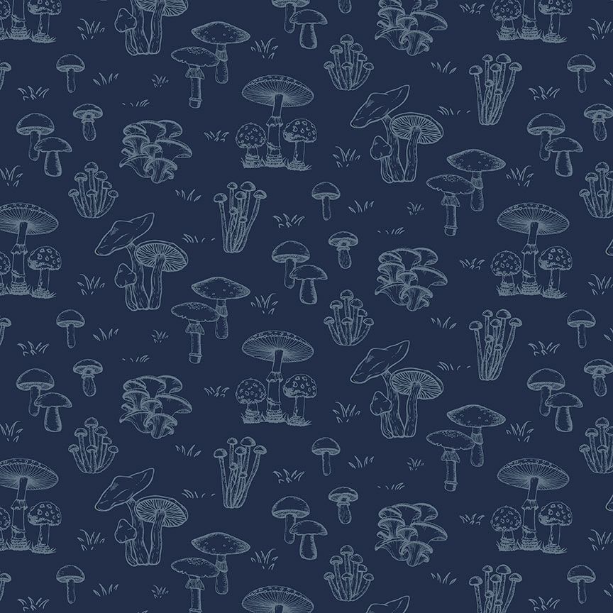 Terrain of Thought - Dear Stella - Holy Shitake-Moonlight