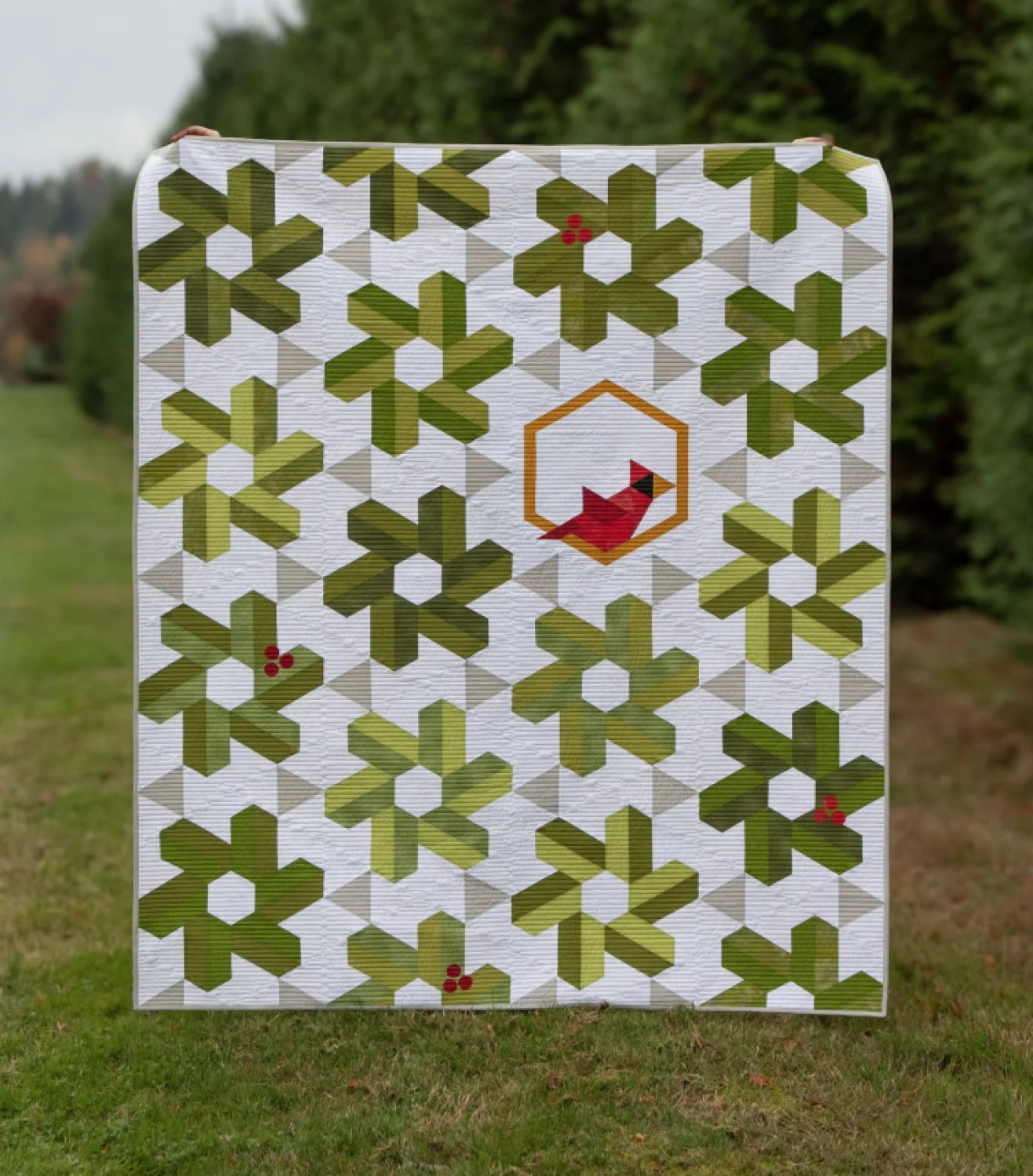 Winter Visit Quilt Pattern - Krista Moser