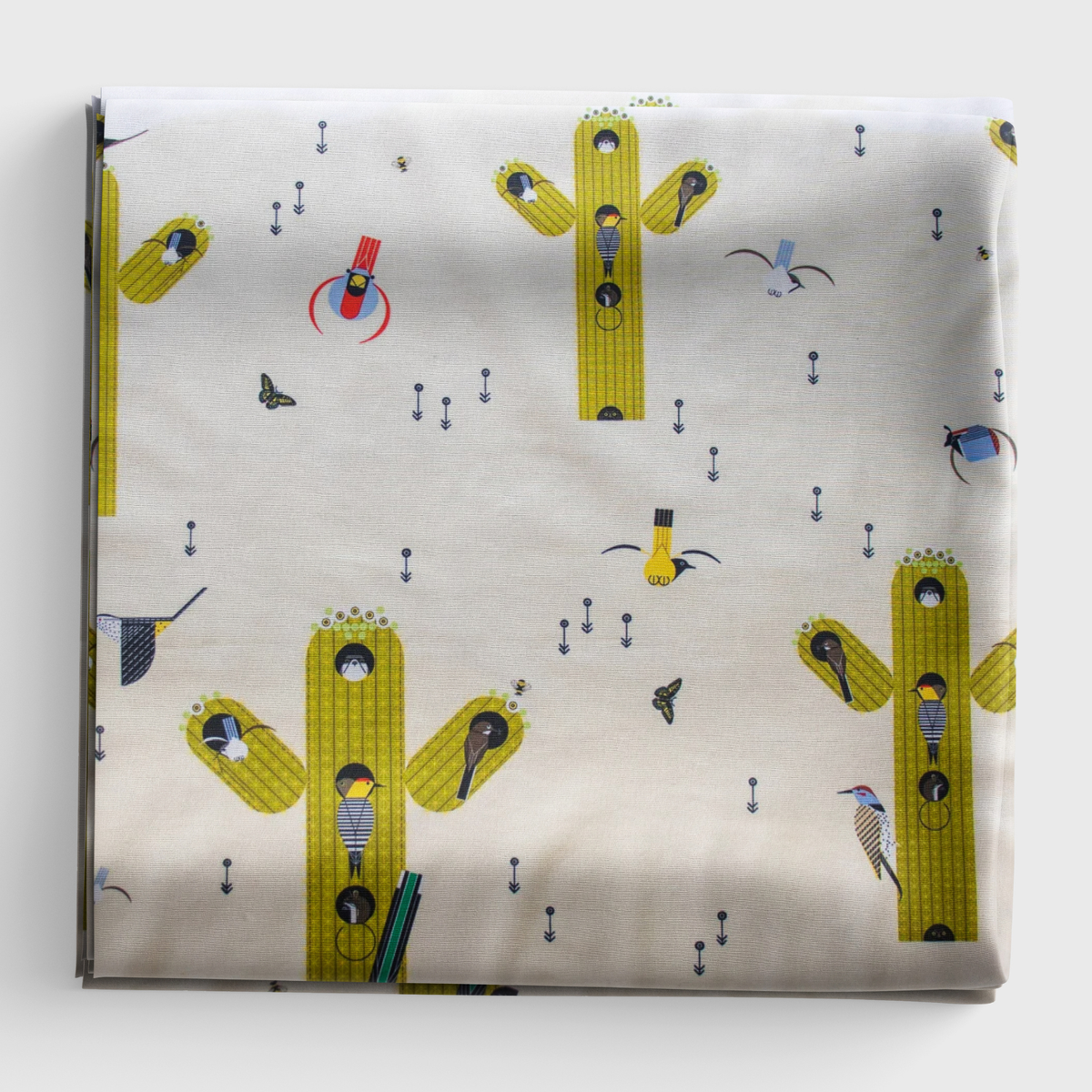 The Desert 2026 - Cactus Field Poplin - CH-213