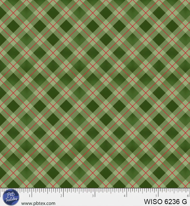 Winter Song - Calm Gingham - Green - WISO06236G