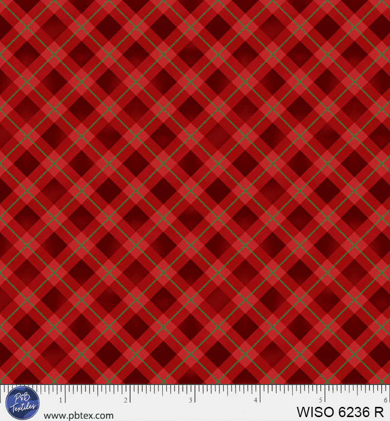 Winter Song - Calm Gingham - Red - WISO06236R