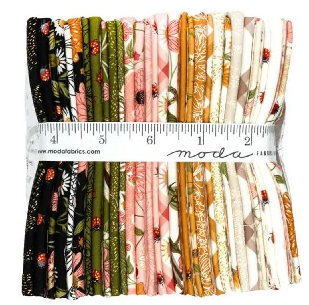 Ladybug Whimsy - Gingiber - 29pc FQB