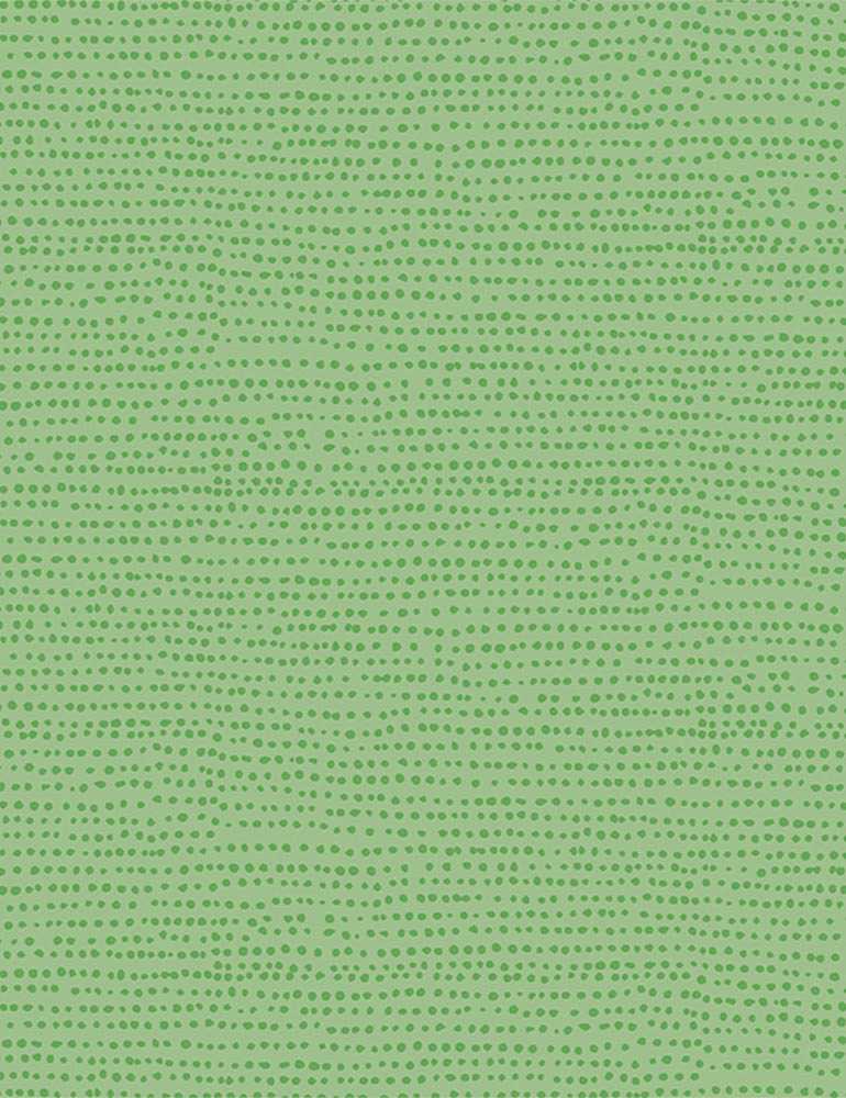 Moonscape - Dear Stella - Kiwi