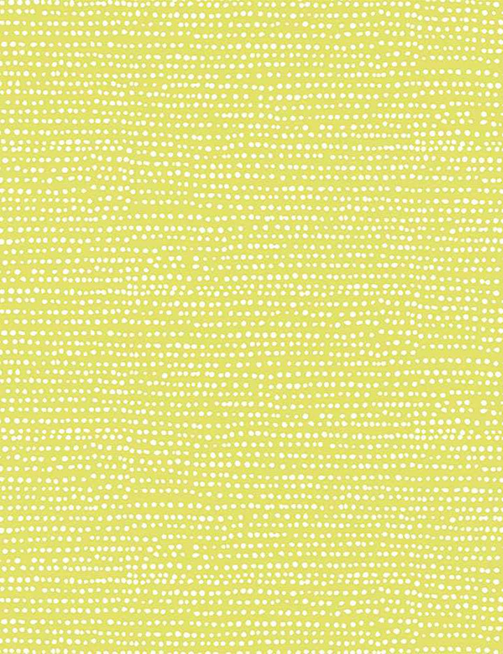 Moonscape - Dear Stella - Endive