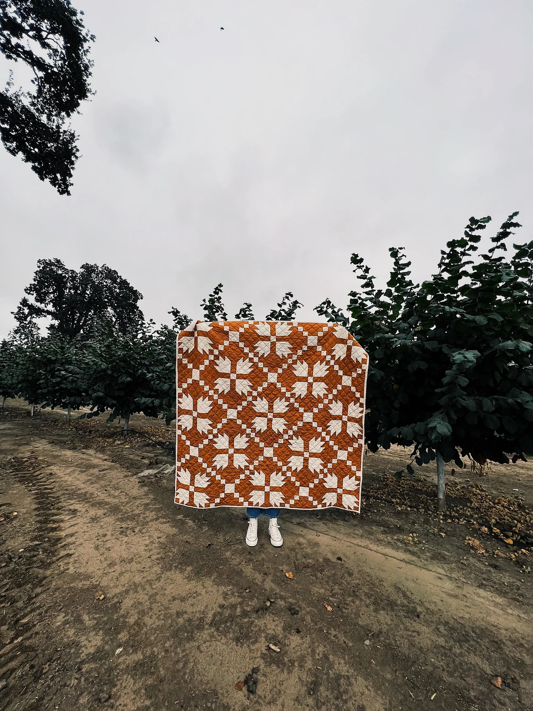 Archie Quilt Pattern