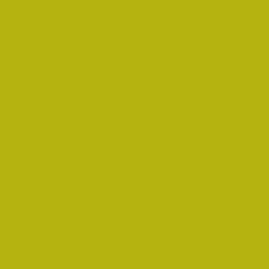 Century Solids - CS-10-Margarita