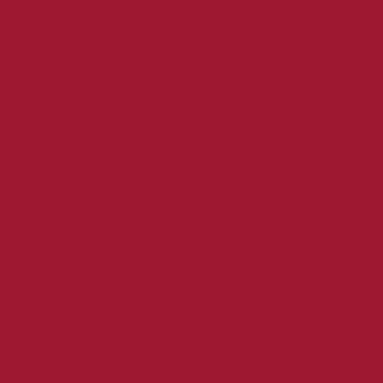 Century Solids - CS-10-Redwood