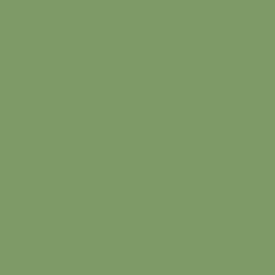 Century Solids - CS-10-Sage