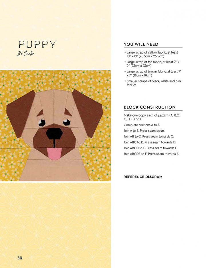 100 Paper Pieced Quilt Blocks